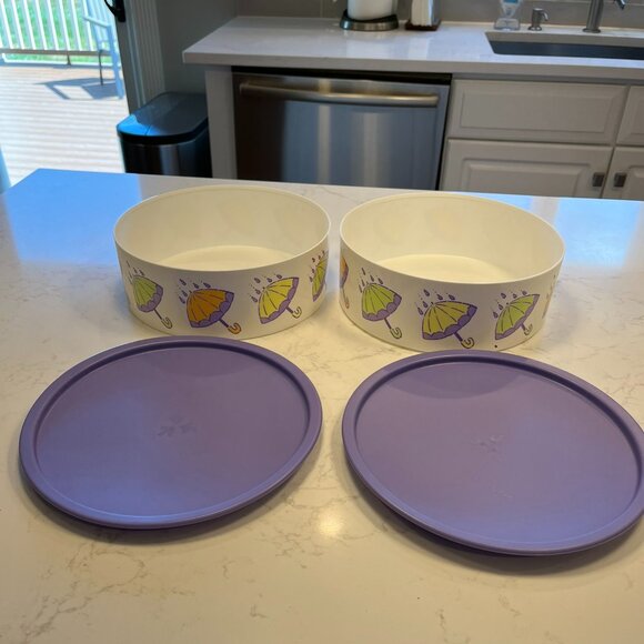 Never Used Tupperware Canister, Impressions and Modular Mates - Picture 6 of 16